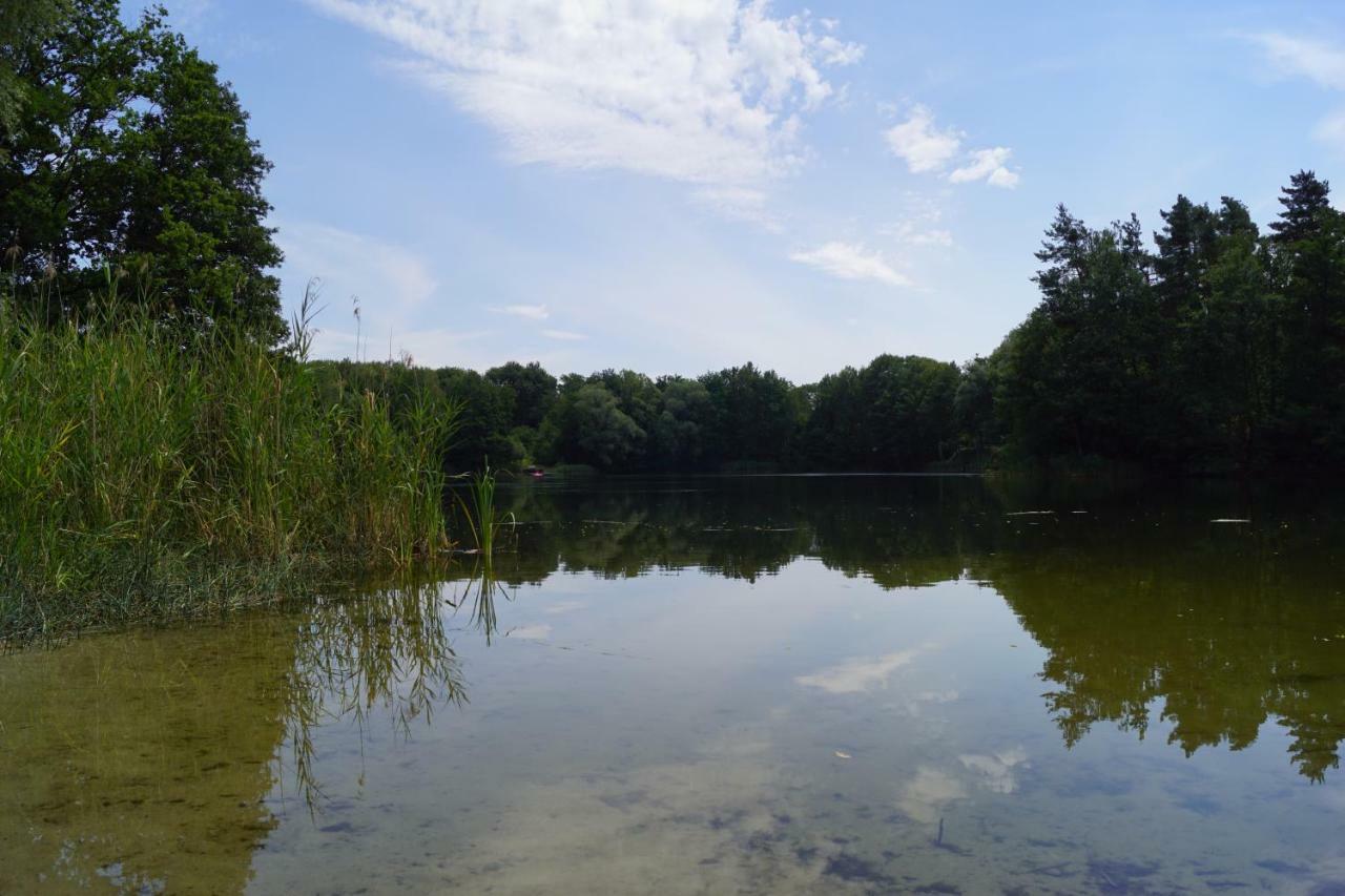 Ferienwohnung Rehagen Sued Am Mellensee Dış mekan fotoğraf