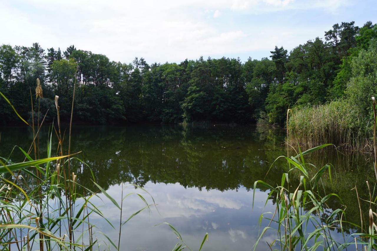 Ferienwohnung Rehagen Sued Am Mellensee Dış mekan fotoğraf