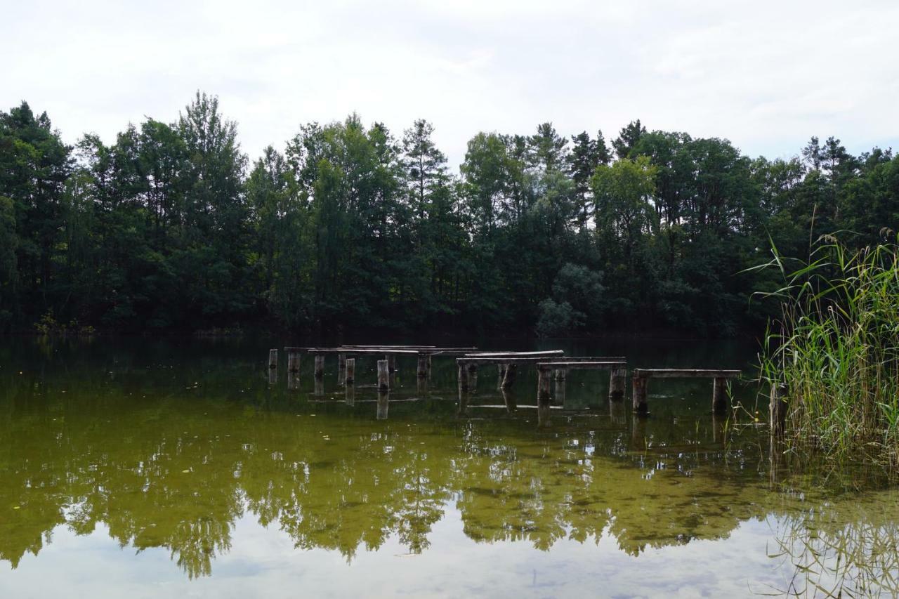 Ferienwohnung Rehagen Sued Am Mellensee Dış mekan fotoğraf