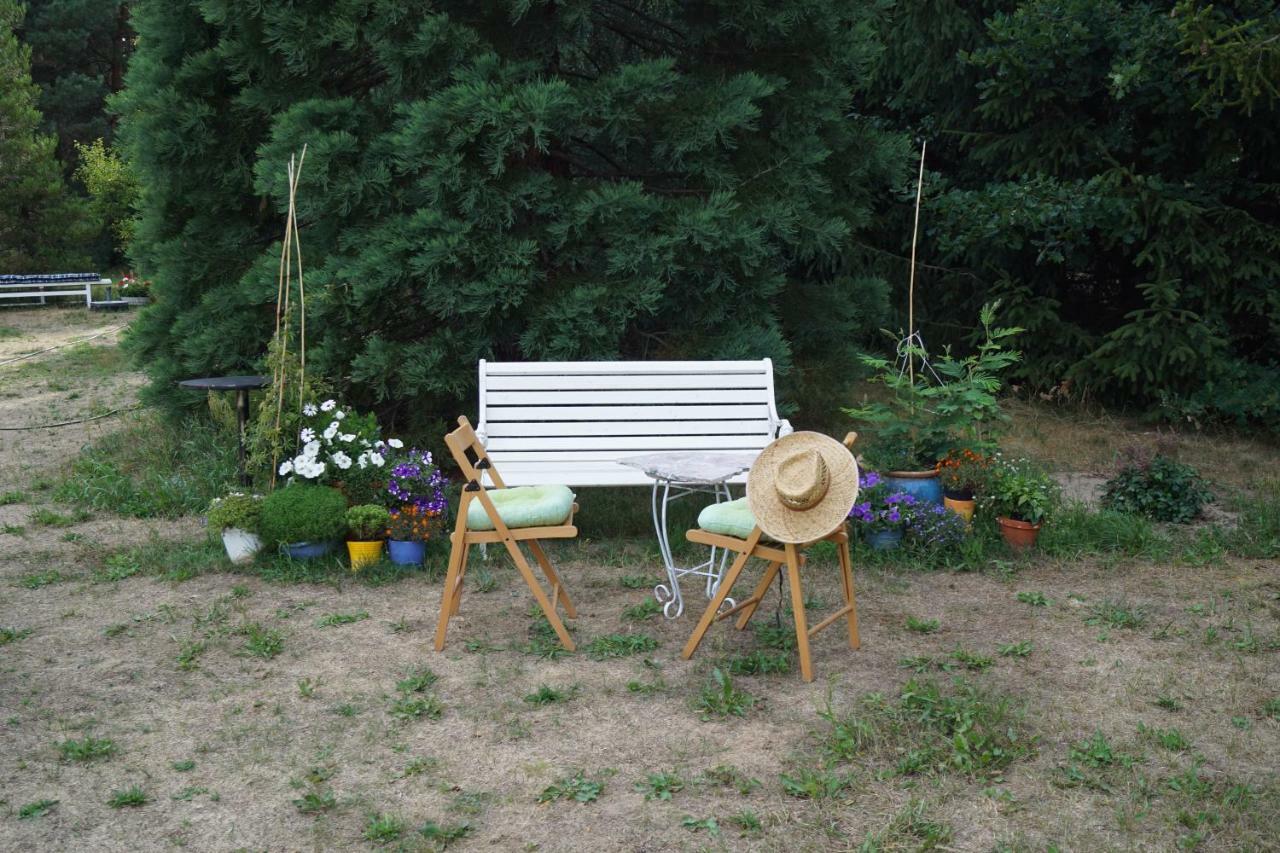 Ferienwohnung Rehagen Sued Am Mellensee Dış mekan fotoğraf