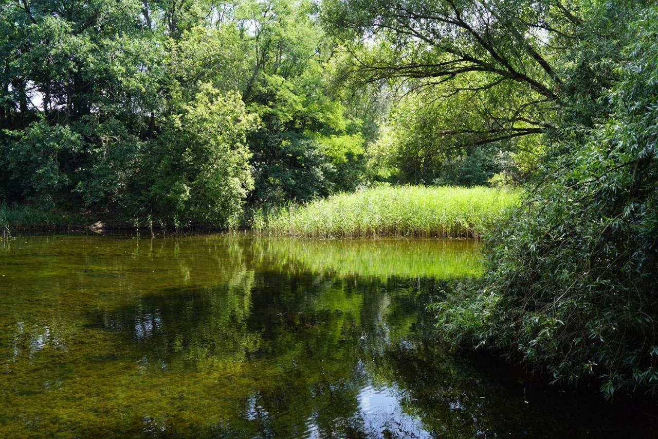 Ferienwohnung Rehagen Sued Am Mellensee Dış mekan fotoğraf